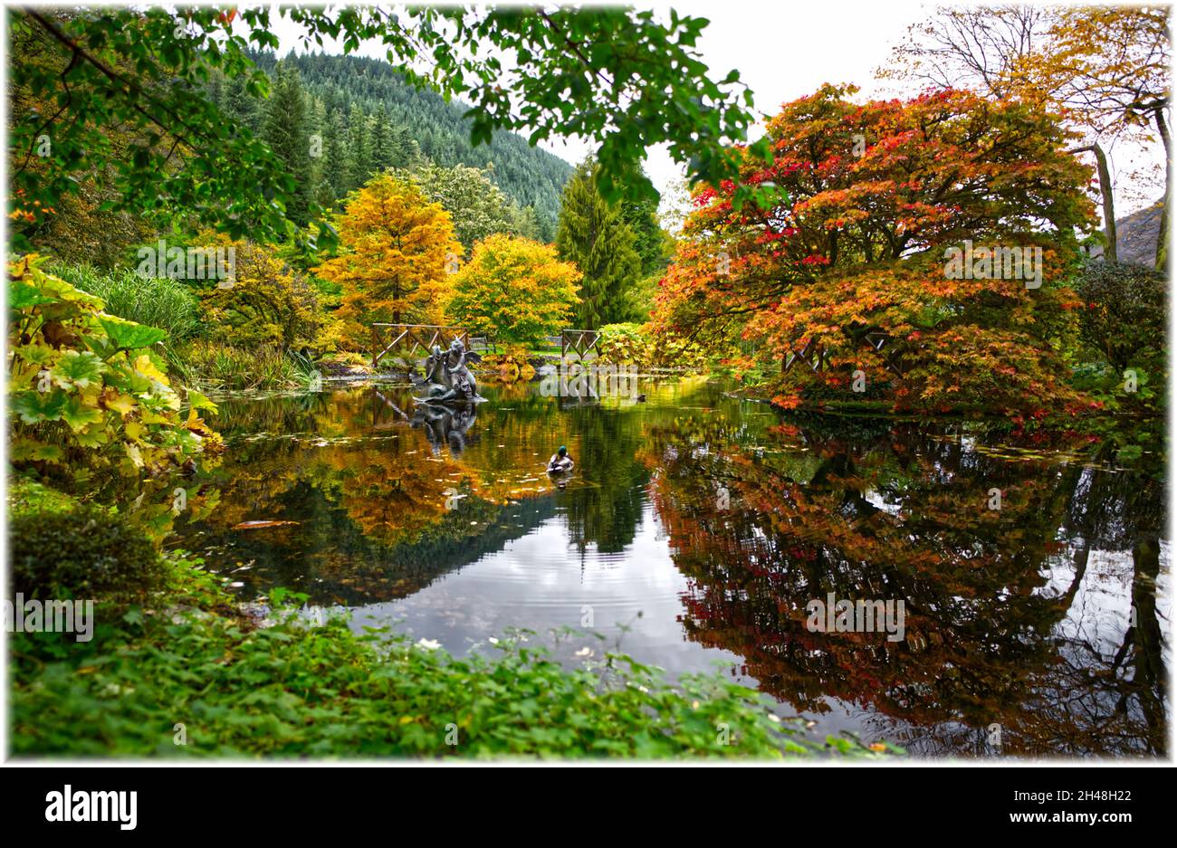 Benmore Botanic Garden Foto Stock