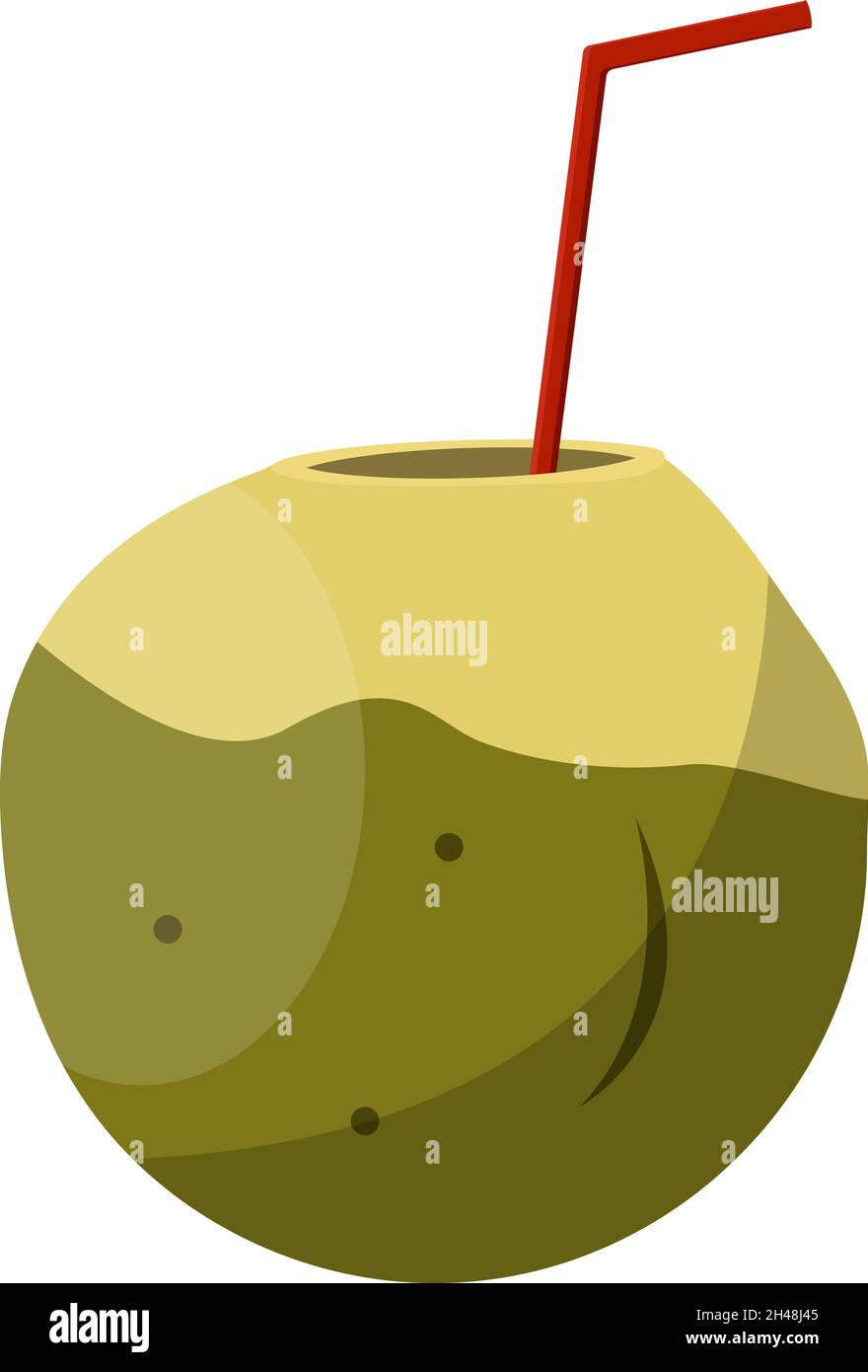 Acqua di cocco per bere, illustrazione, vettore su sfondo bianco. Illustrazione Vettoriale