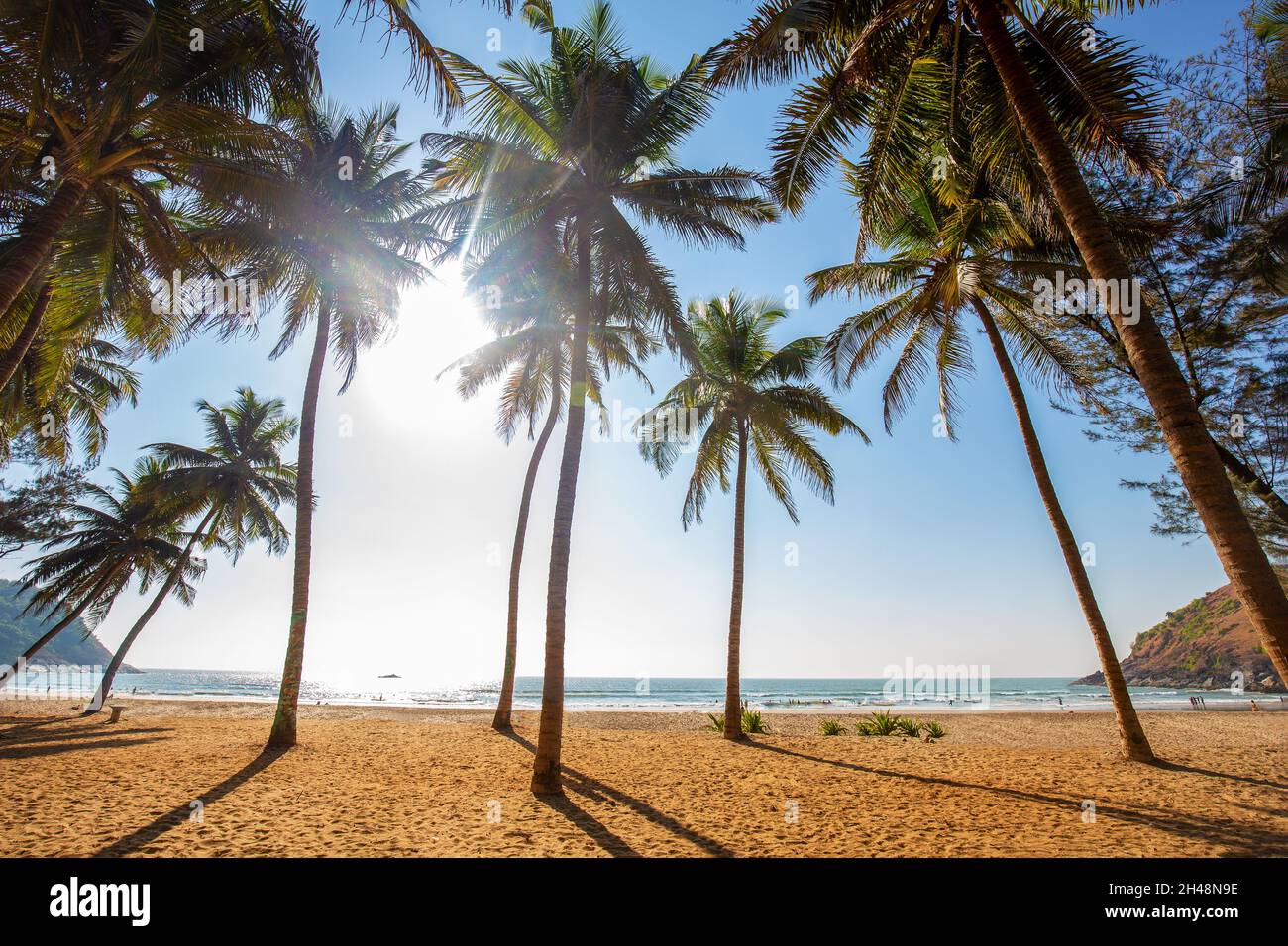 Vista idilliaca del sud dell'India su una spiaggia soleggiata a Karnataka (o Kerala, Andhra Pradesh, Goa, Tamil Nadu,) rilassamento nei mesi invernali e spr Foto Stock