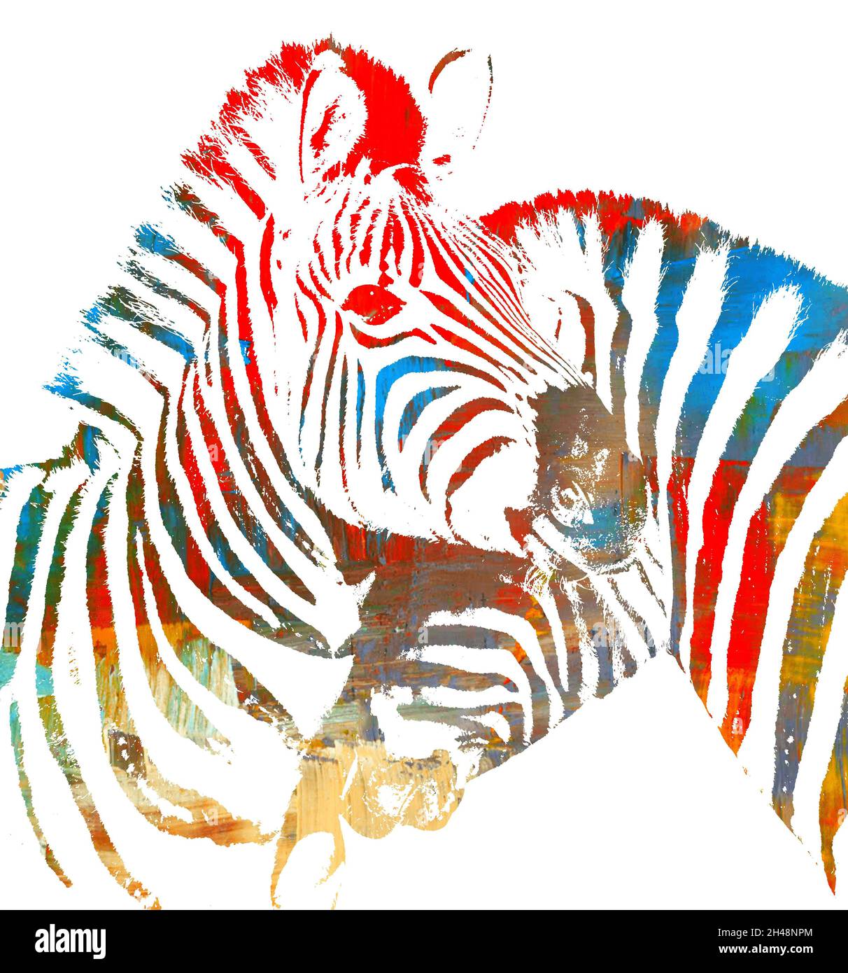 Ritratto colorato di due Zebre Foto Stock