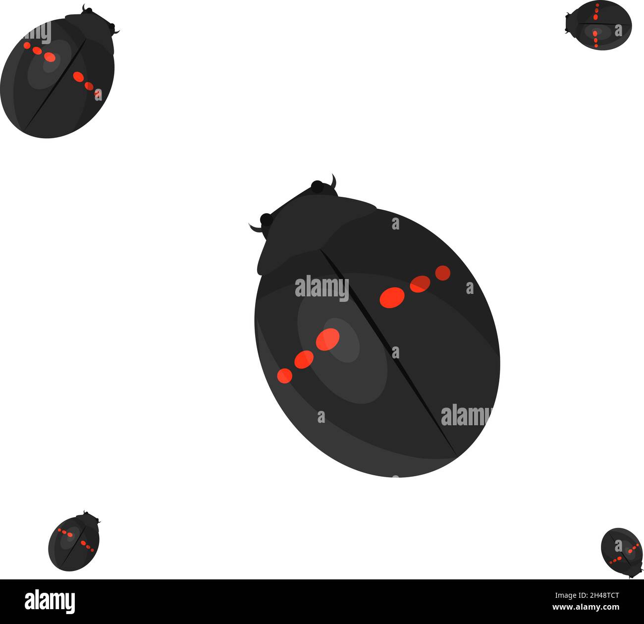 Nero bug signora, illustrazione, vettore su sfondo bianco. Illustrazione Vettoriale