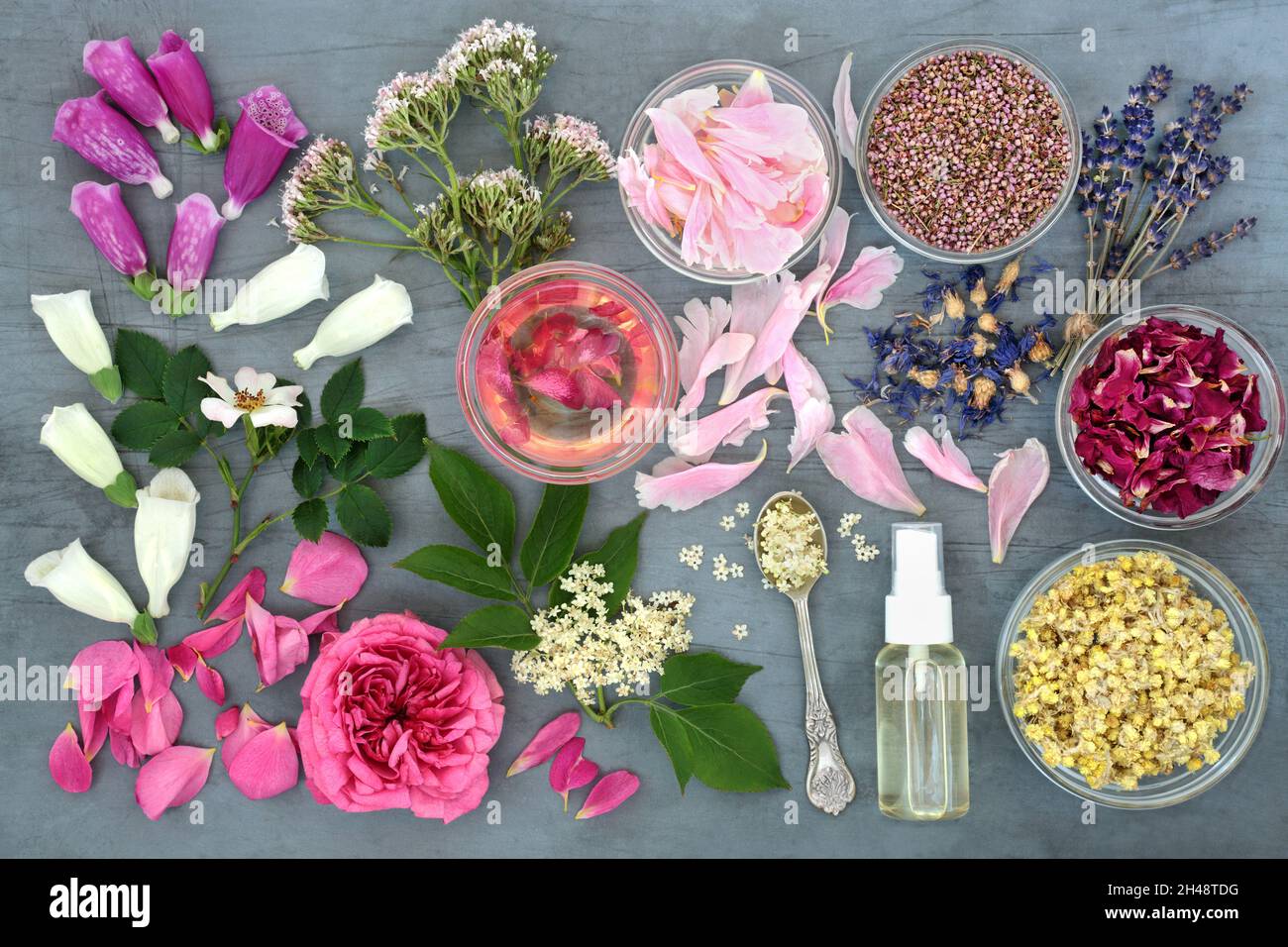 Olio essenziale aromatherapy preparazione. Trattamenti naturali di erbe vegetali con erbe, fiori e piovendo in olio. Foto Stock