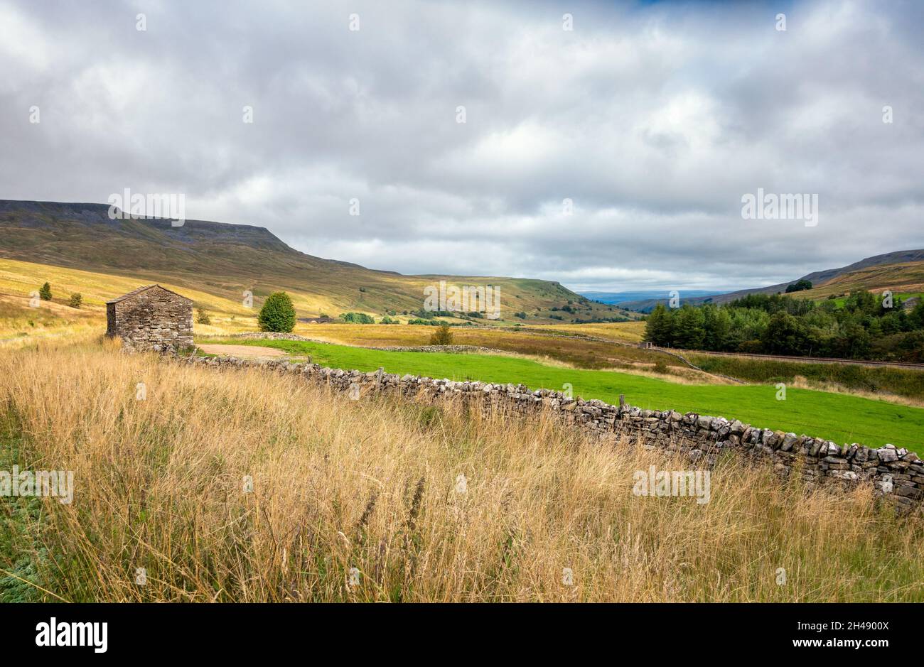 Vista a nord dalla strada attraverso la valle di Mallerstang con Wild Boar Fell e un vecchio fienile di pietra sulla sinistra, Yorkshire Dales National Park, paesaggio britannico Foto Stock