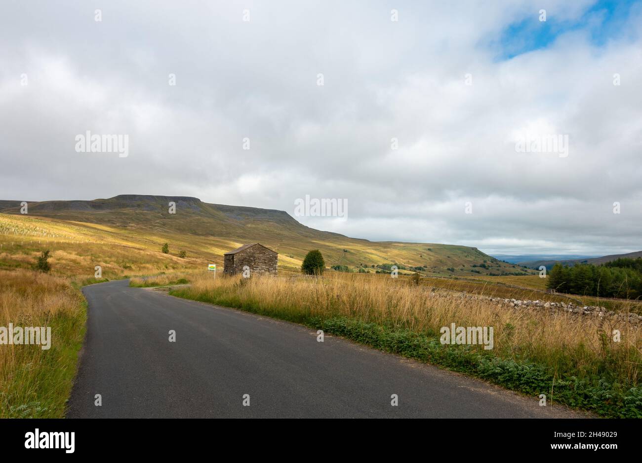 Vista a nord dalla strada attraverso la valle di Mallerstang con Wild Boar Fell e un vecchio fienile in pietra in vendita sulla sinistra, Yorkshire Dales National Park, Regno Unito Foto Stock