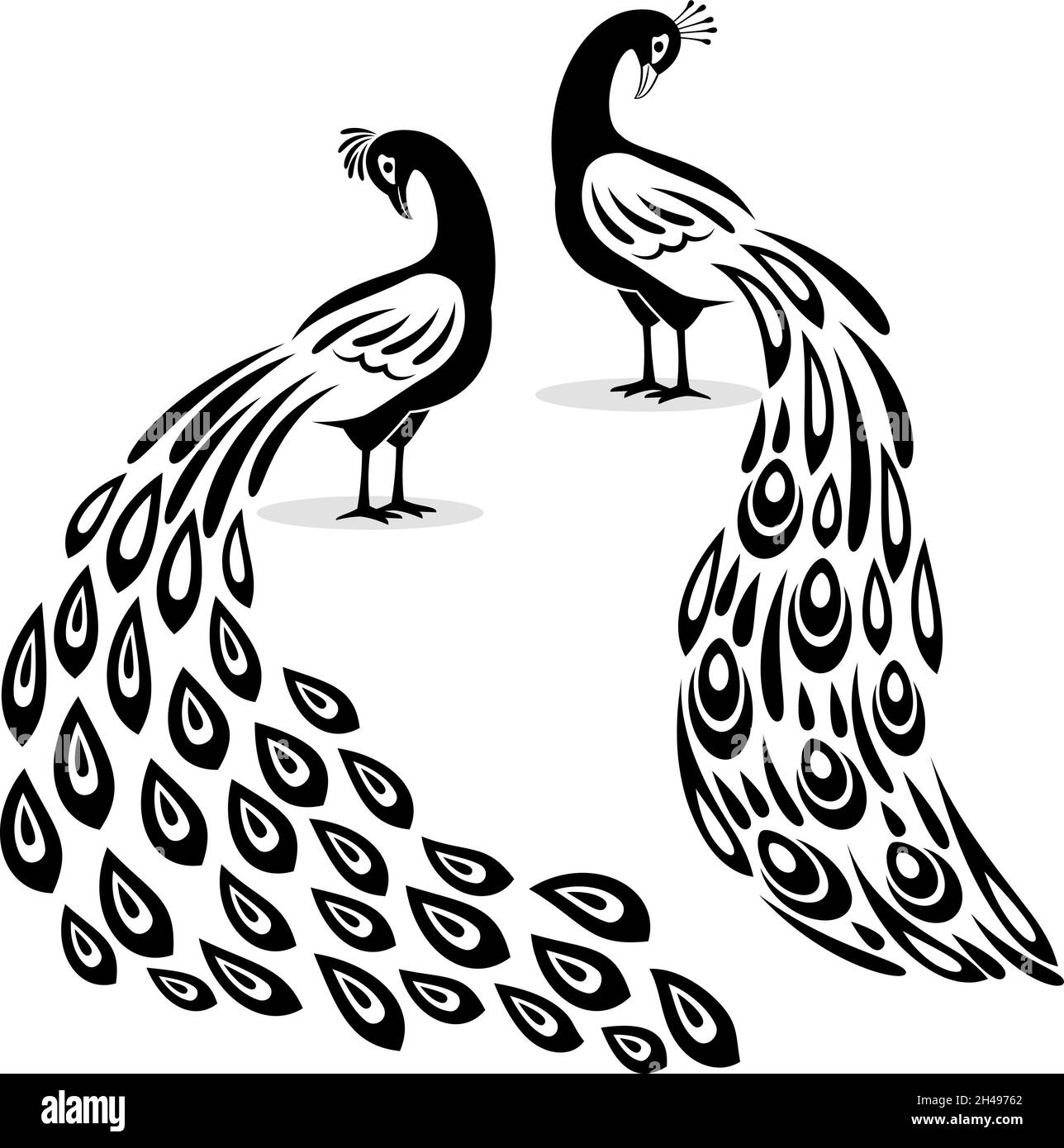 Silhouette Peafowl. Elementi con logo nero di pavone, pavocks disegni talee animali vettoriali laser, modelli monocromatici di pavone con coda carina isolata su sfondo bianco Illustrazione Vettoriale