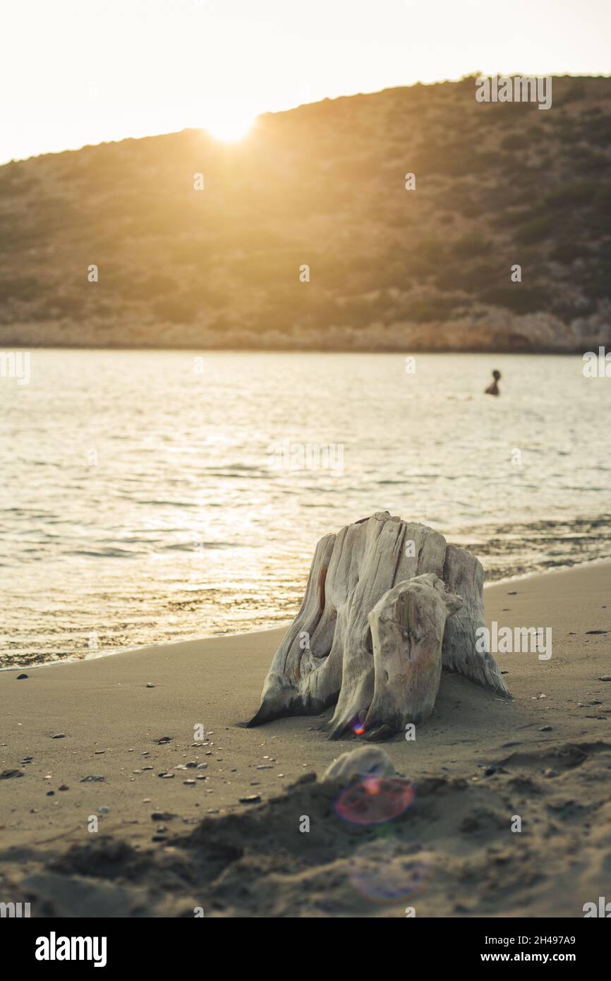 beach log Foto Stock