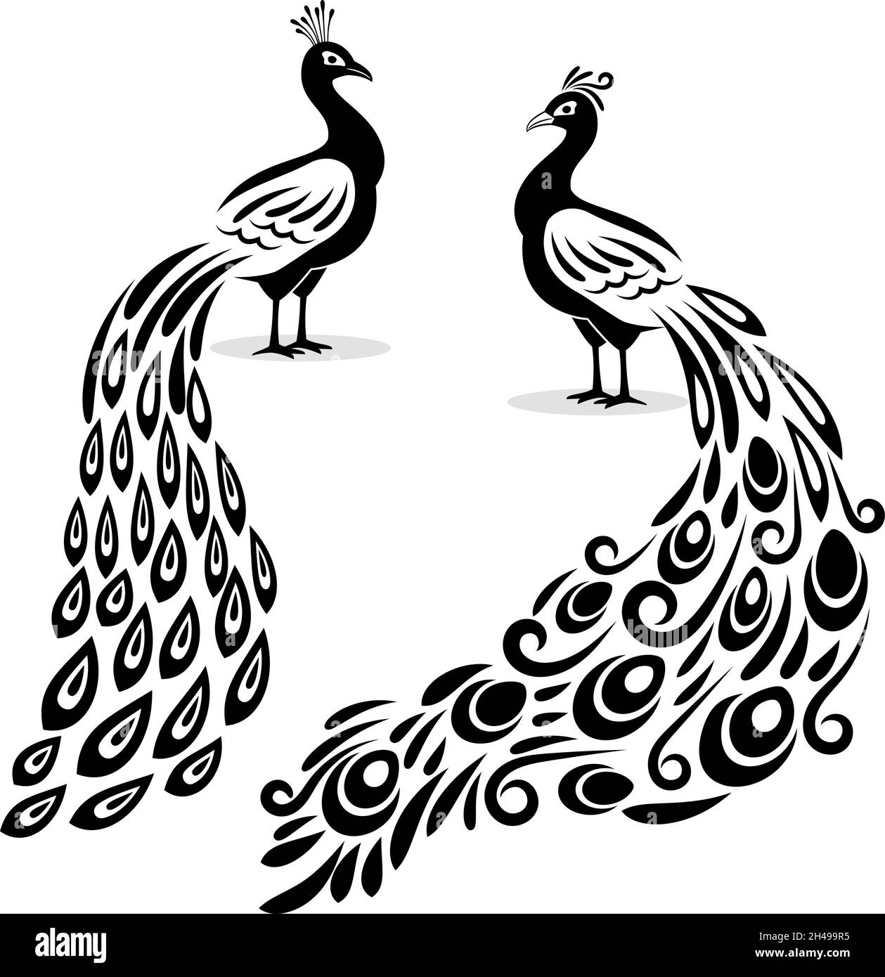 Pavone monocromatico. Disegno a mano peecoock isolato nero silhouette su pagina bianca, libro stilizzato pavonine animale uccello vettore illustrazione, peafowl arte disegno immagine Illustrazione Vettoriale