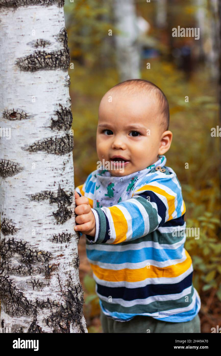 Bambino ragazzo carino in piedi vicino all'albero di betulla nella foresta d'autunno. Foto Stock