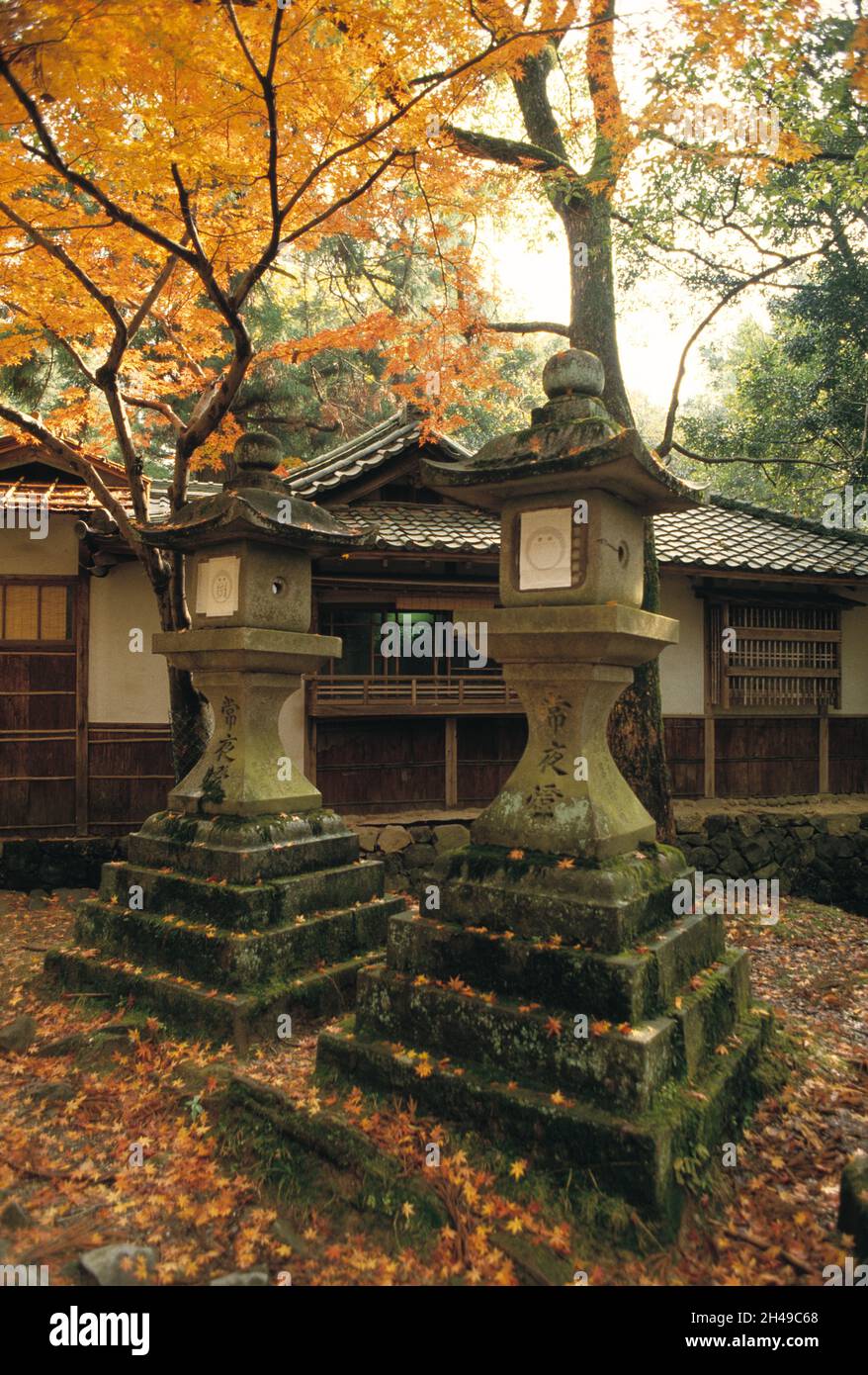 Giappone. Nara. Kasuga Taisha Santuario. Lanterne di pietra. Foto Stock