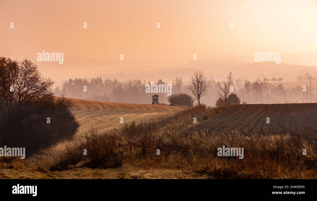 Autunno nebbioso e nebbia paesaggio con torre di caccia e profilo albero su una nebbia all'alba, Puklice Vysocina Repubblica Ceca Foto Stock