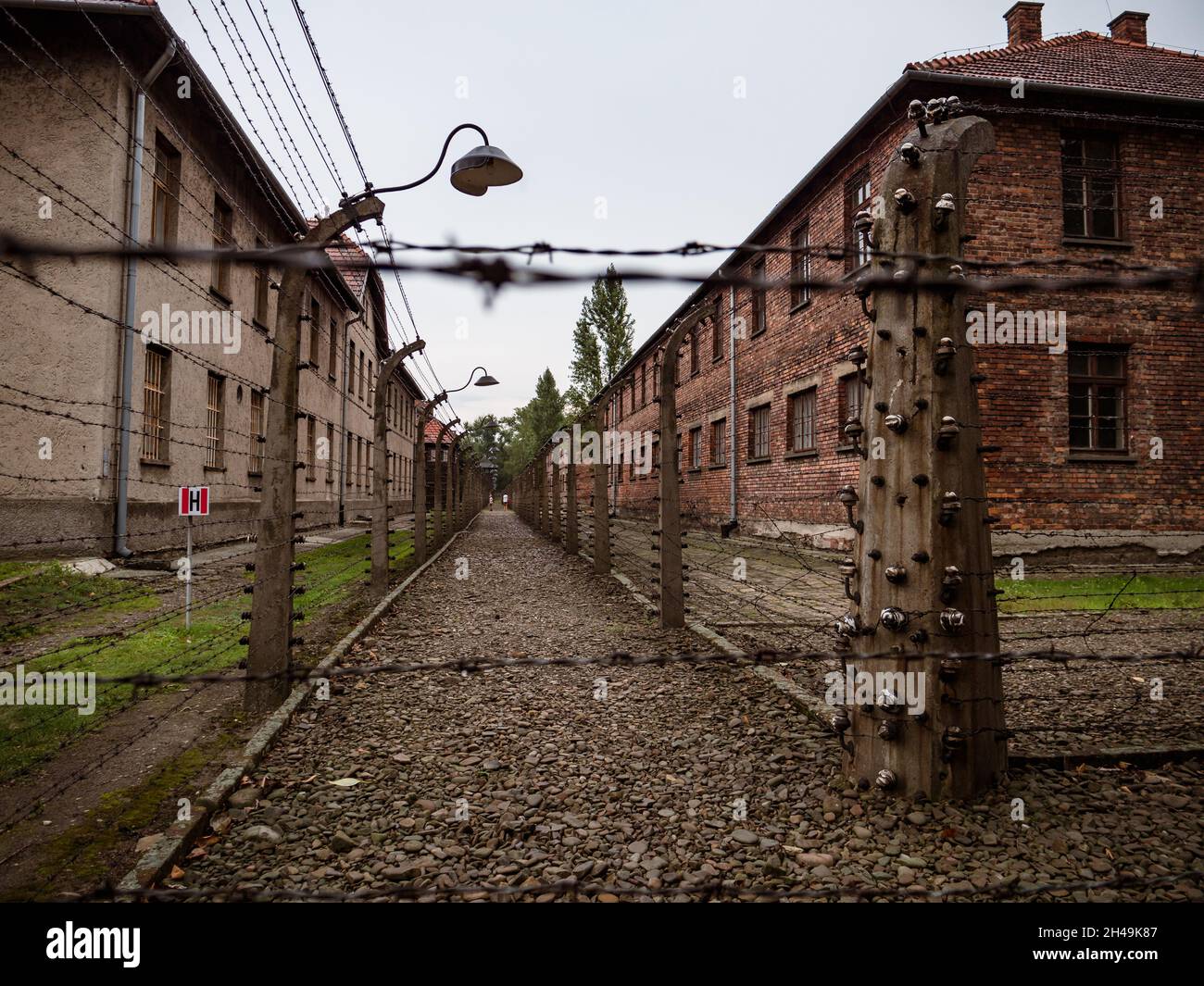 Auschwitz-Birkenau, Polonia. Agosto 26, 2019. Strada nel campo di concentramento di Auschwitz Foto Stock