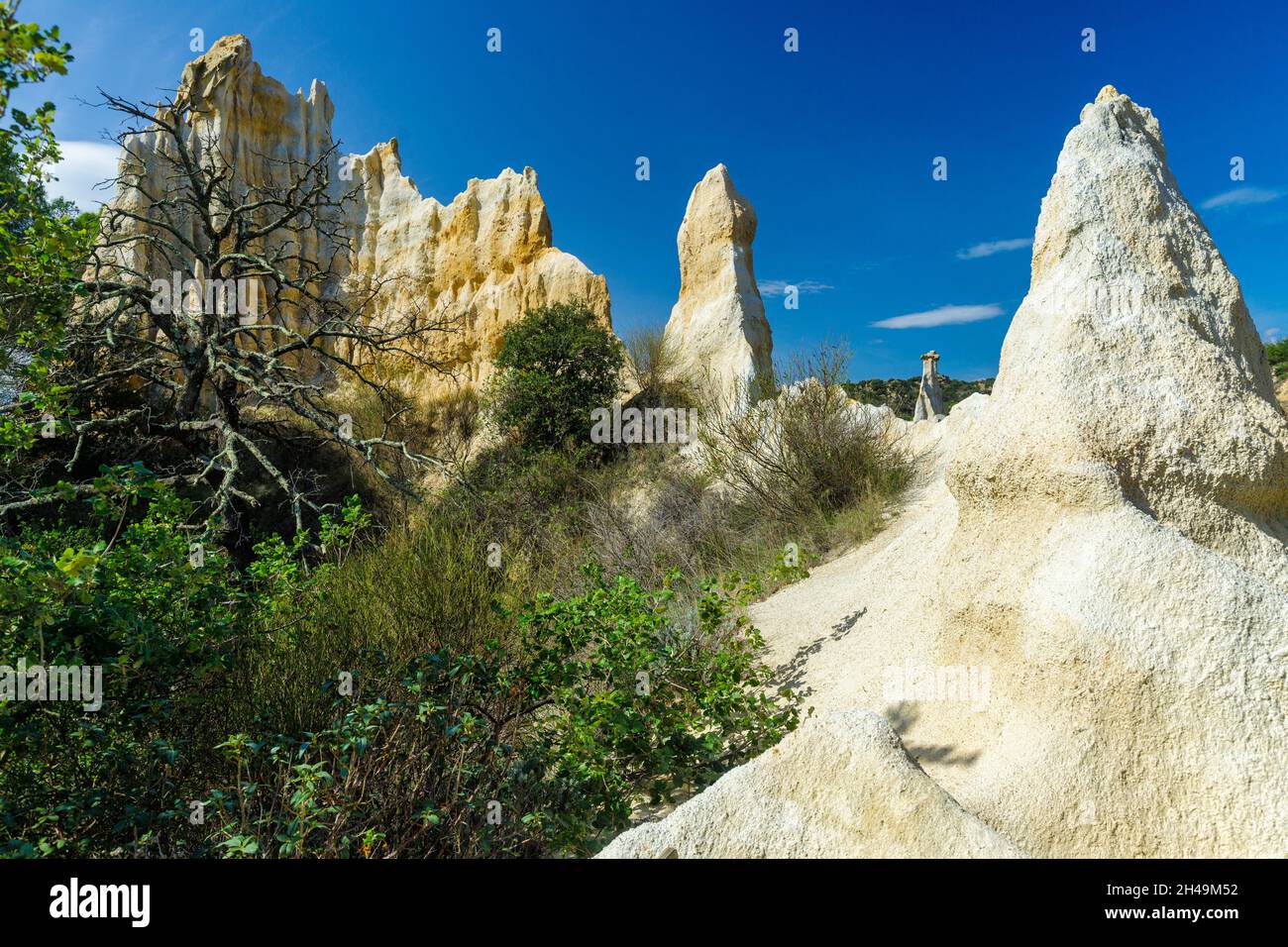 Formazione geologica di forma d'organo di Ille sur Tet nel sud della Francia Foto Stock
