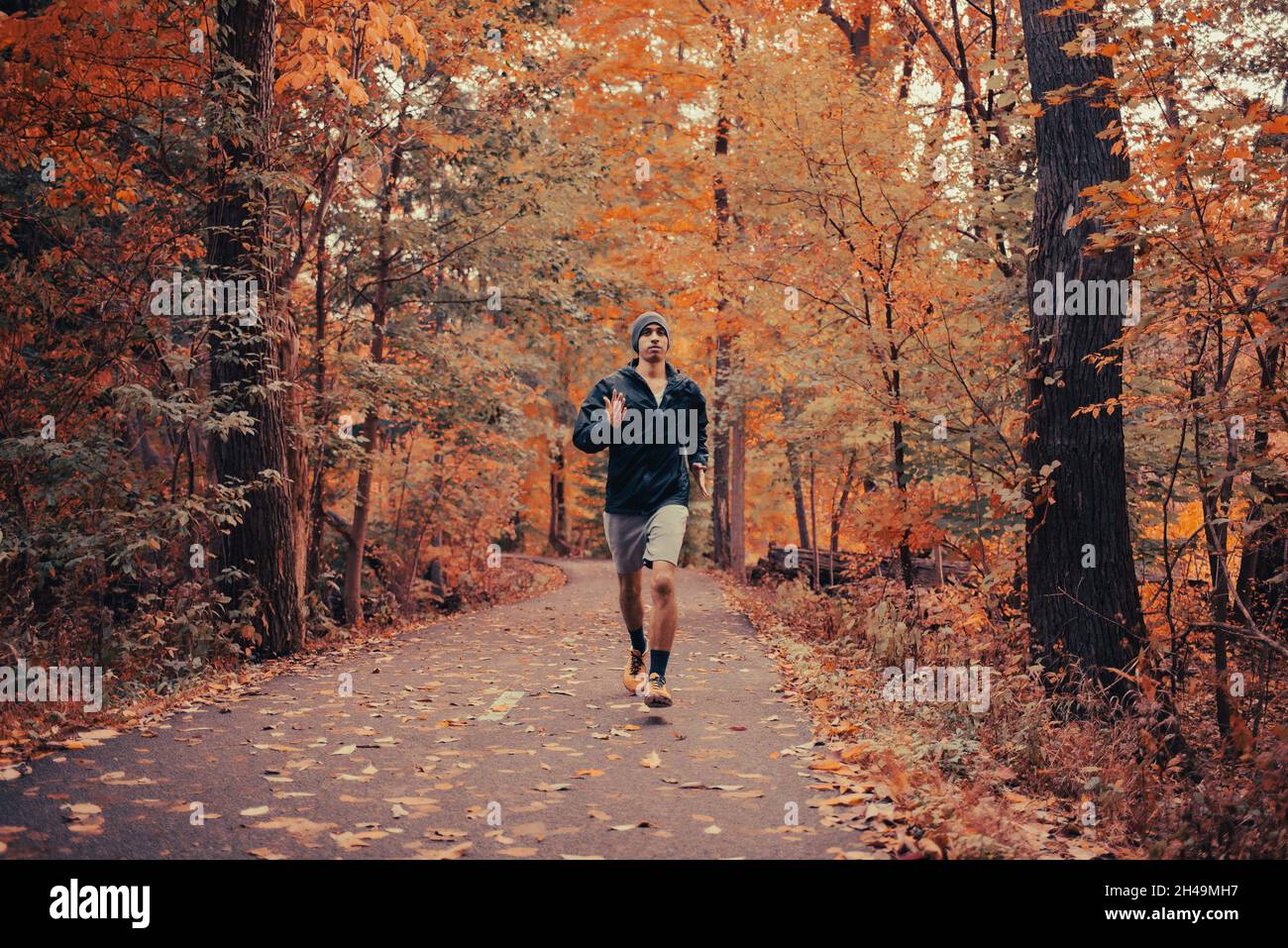 Fit bello misto-corsa giovane uomo corre su sentiero lastricato nel parco in autunno. L'uomo afro-americano passa attraverso la foresta circondata da foglie autunnali Foto Stock