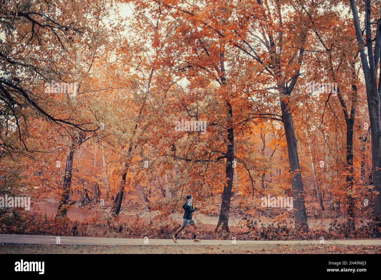 L'uomo misto corre sul sentiero nel paesaggio autunnale in giacca nera e beanie. Sano e in forma giovane uomo bruno-skinned corre nel centro di treescape. Foglie Foto Stock