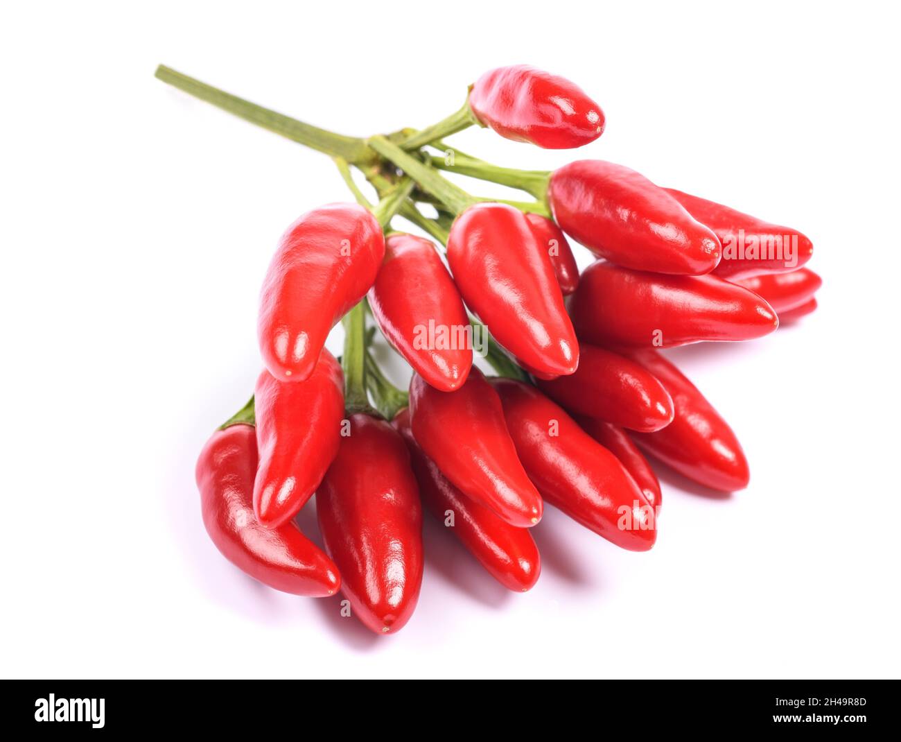 Peperoni Tabasco isolati su sfondo bianco Foto Stock