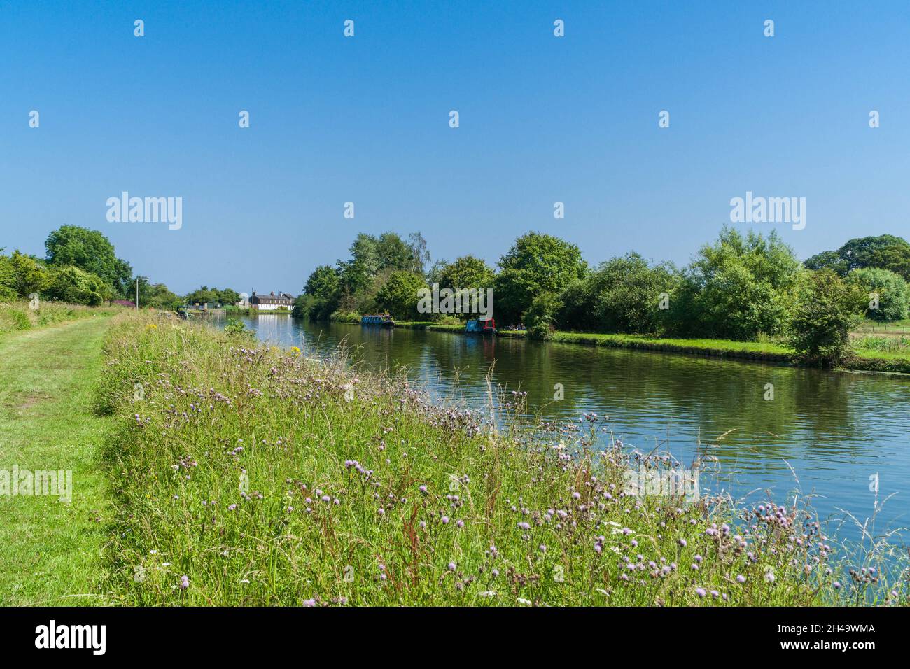Vista lungo Severn Way verso Purton sul Gloucester e Sharpness Canal, Gloucestershire UK. Luglio 2021 Foto Stock