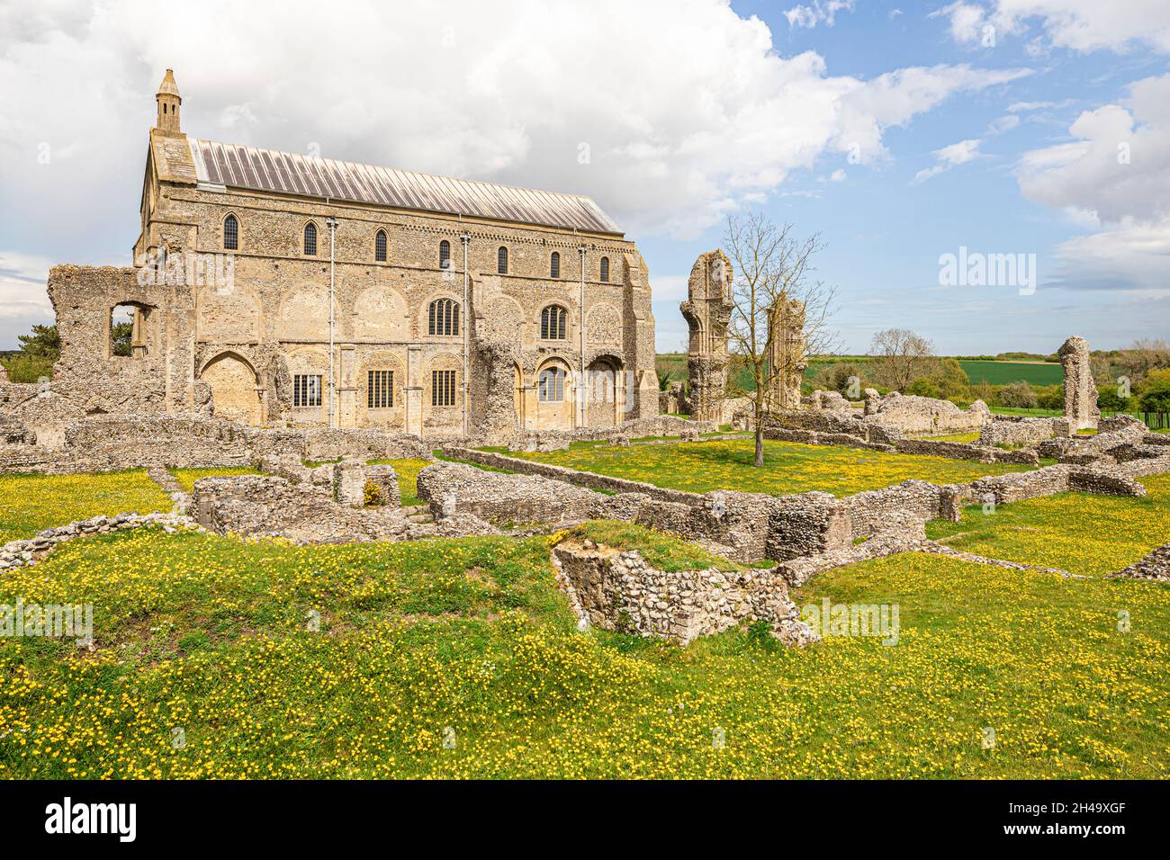 Nel mese di maggio al Priorato di St Mary, un priorato benedettino fondato nel 1091, nel villaggio di Binham, Norfolk UK Foto Stock