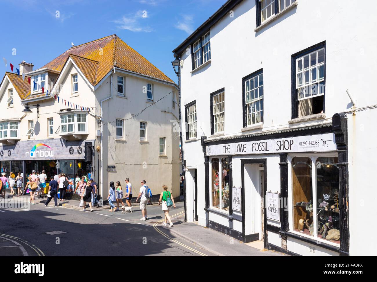 Il negozio di fossili di Lyme Bridge Street Lyme Regis Dorset Inghilterra GB Europa Foto Stock Il negozio di fossili di Lyme Bridge Street Lyme Regis Dorset Inghilterra GB Europa Foto Stock