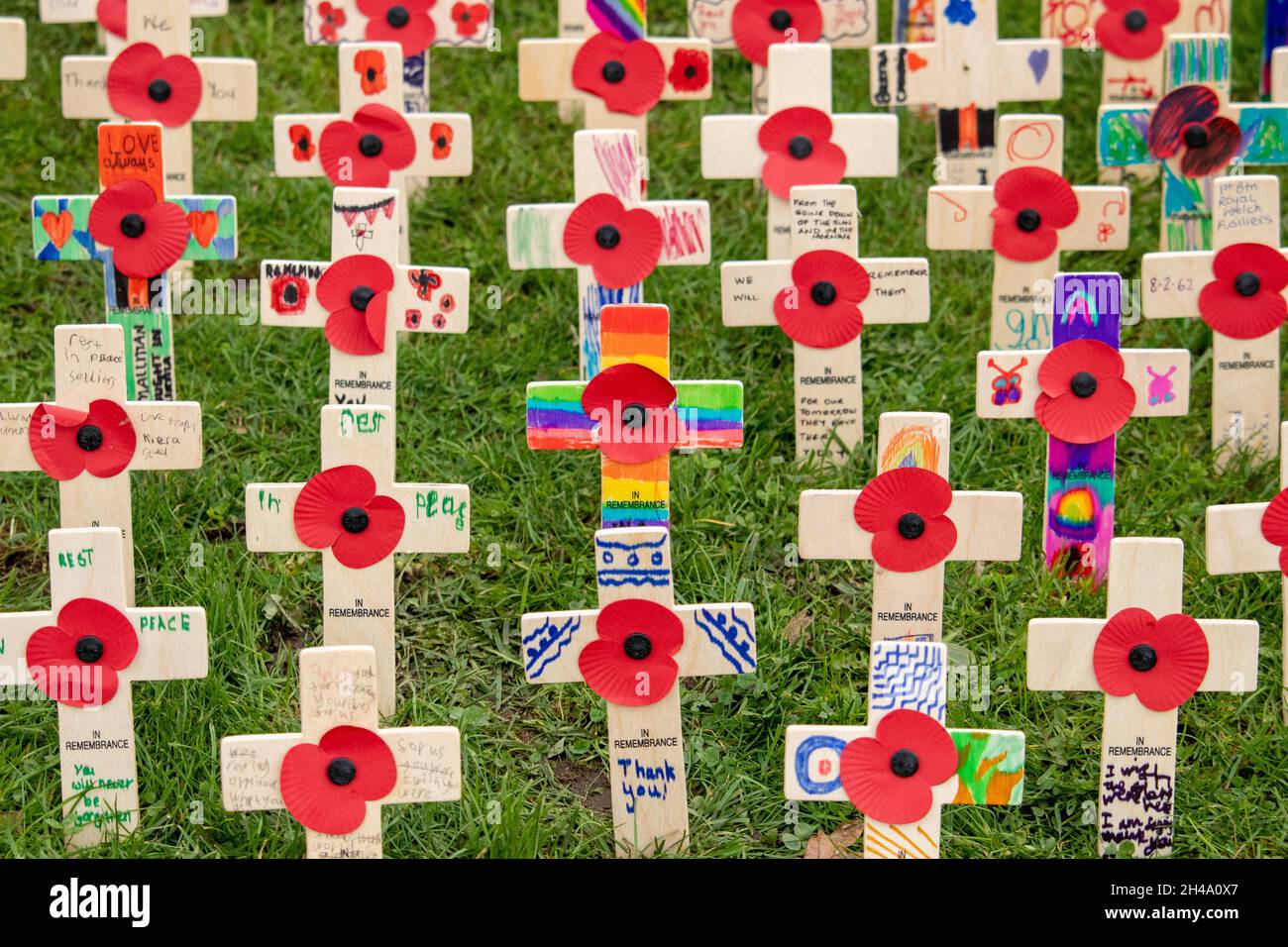 Il servizio di apertura per il campo di ricordo al National Memorial Arbouretum. File di papaveri nel campo di papavero della British Legion. Foto Stock