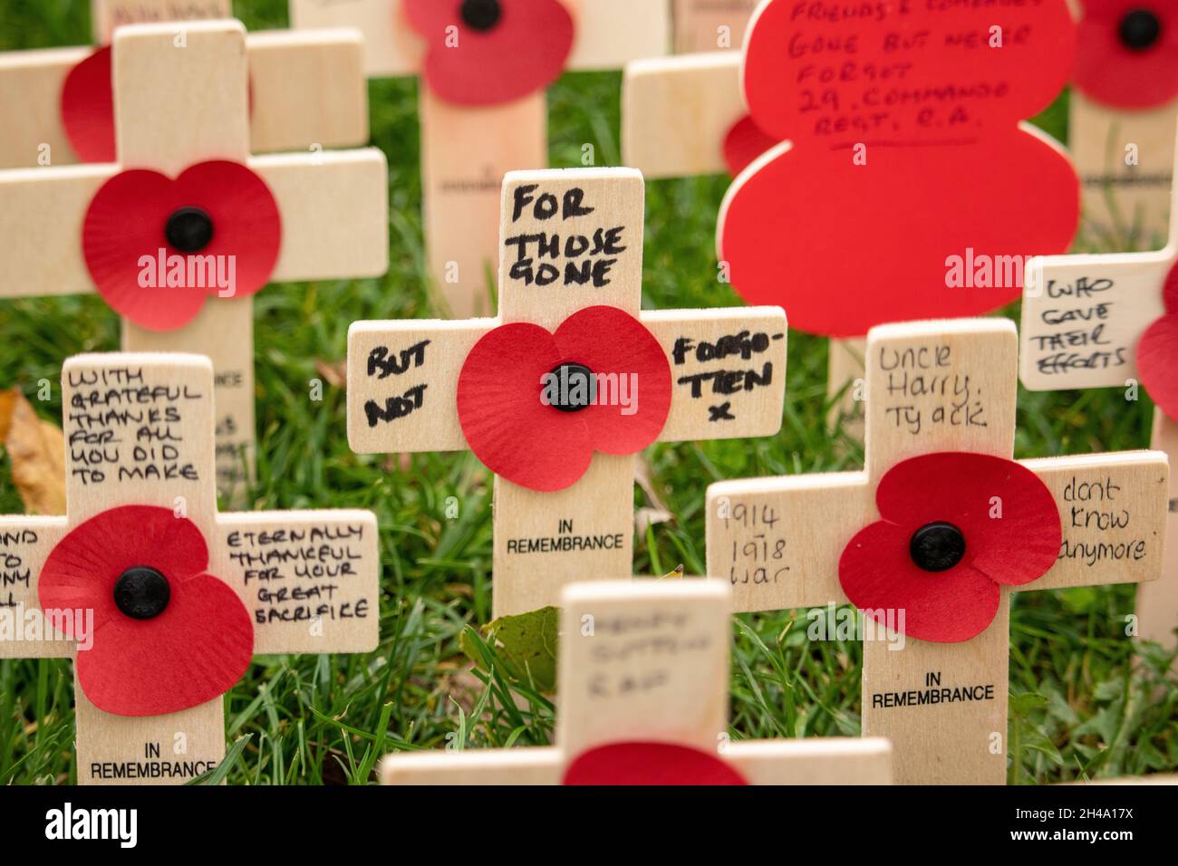 Il servizio di apertura per il campo di ricordo al National Memorial Arbouretum. File di papaveri nel campo di papavero della British Legion. Foto Stock