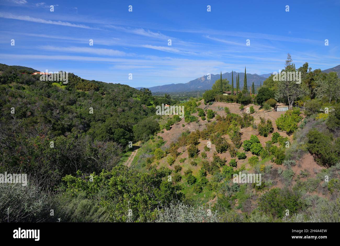 Bella primavera nella valle di Ojai, Ventura CA Foto Stock