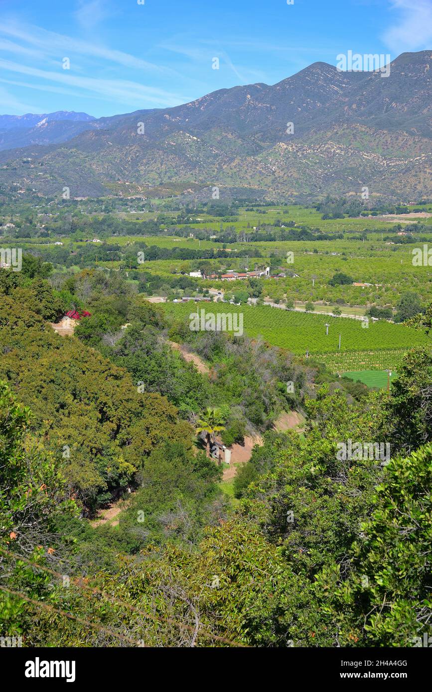 Bella primavera nella valle di Ojai, Ventura CA Foto Stock