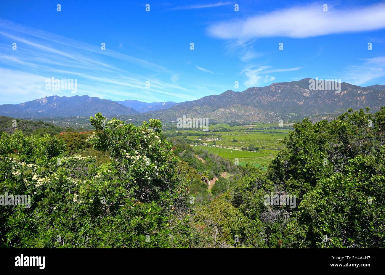 Bella primavera nella valle di Ojai, Ventura CA Foto Stock