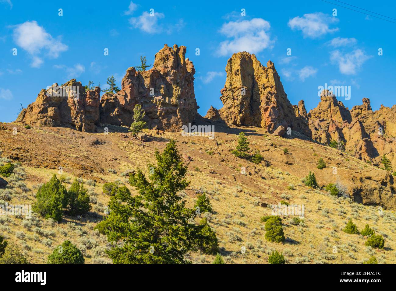 Paesaggio lungo il fiume Shoshone in Wyoming, USA Foto Stock