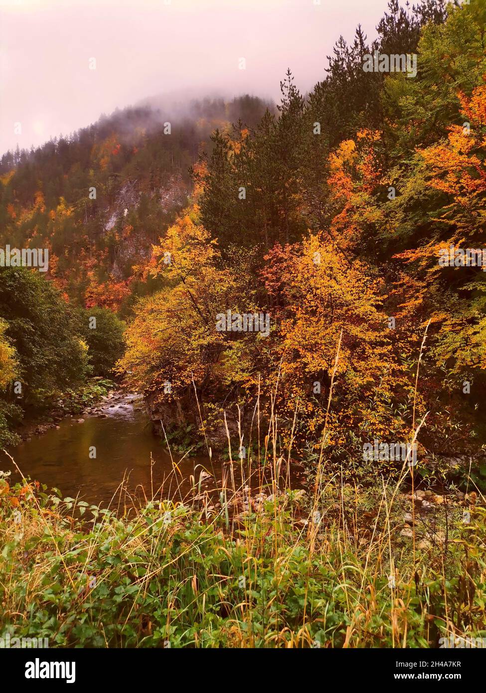 Trigrad, monti Rodopi, Bulgaria, Plovdiv, autunno Foto Stock