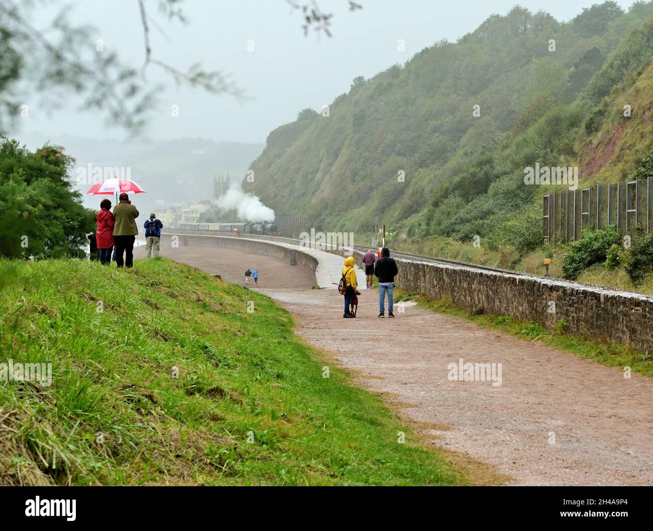 Treno a vapore sotto la pioggia. Gli appassionati si sfidano contro le intemperie per guardare il tour ferroviario di Mayflower passando da Sprey Point a Teignmouth, nel Devon meridionale. Foto Stock