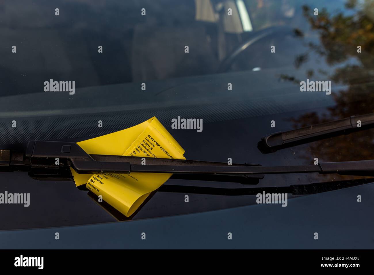 Pena di parcheggio su un biglietto giallo fissato al tergicristallo sul parabrezza, Danimarca, 1 novembre 2021 Foto Stock