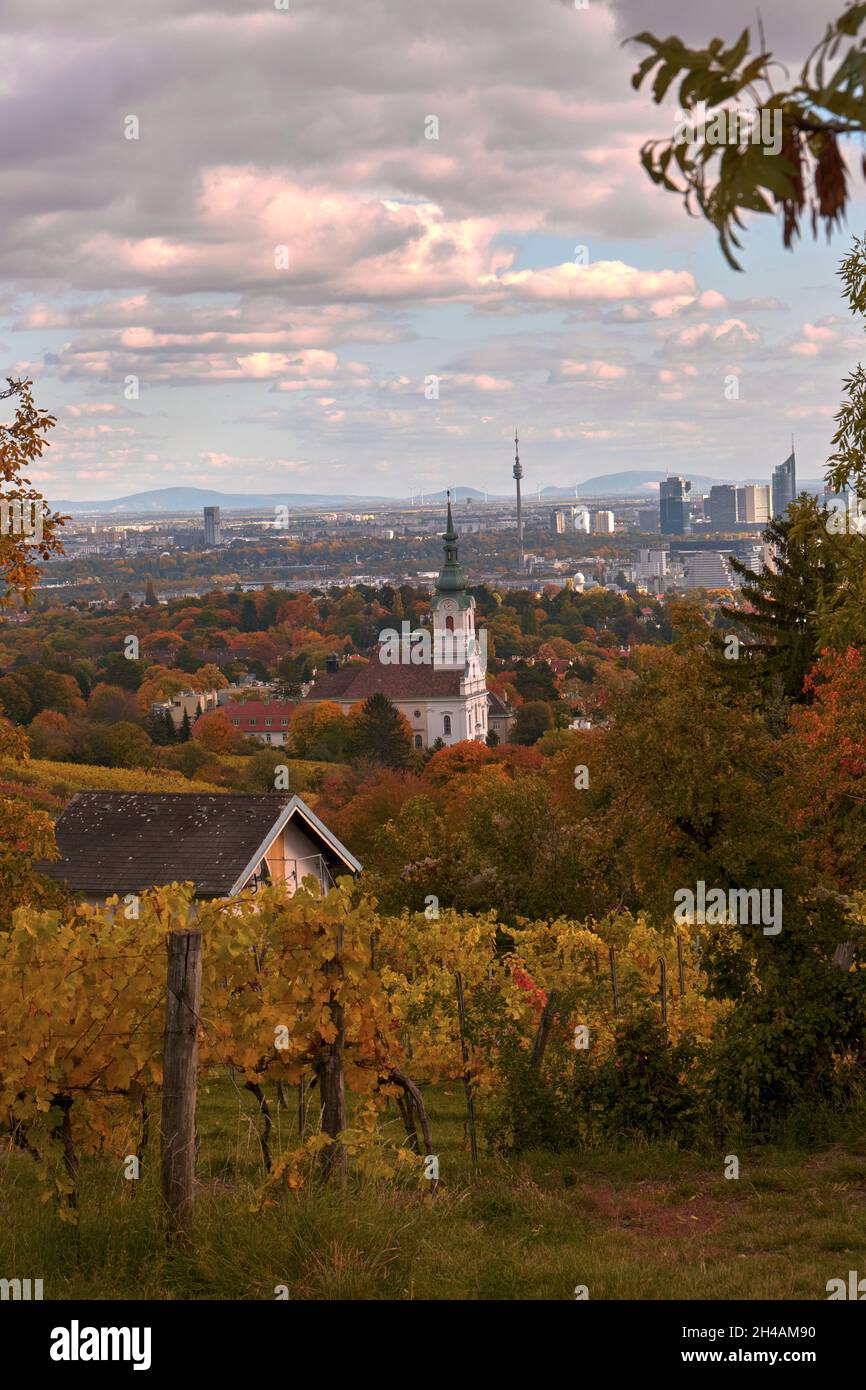 Vista a fine autunno su Vienna dalle colline e dai vigneti nelle vicinanze. In primo piano si possono vedere una piccola capanna e una chiesa. Foto Stock