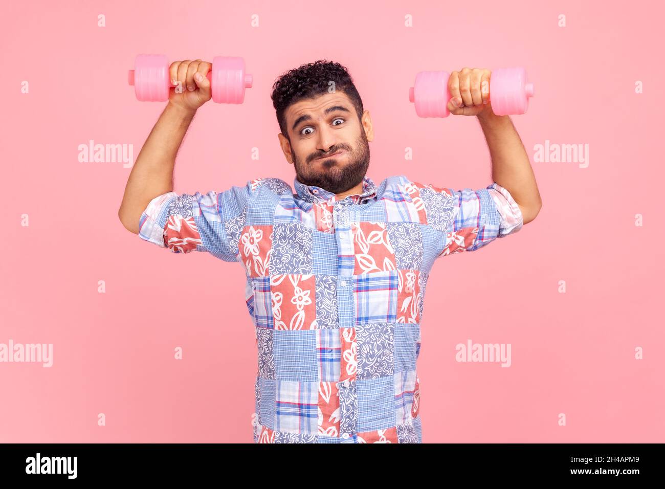 Divertente giovane uomo adulta con camicia blu casual che solleva le mani con pesanti manubri, viso accigliato, bicipiti pompanti e triceps. Studio interno girato isolato su sfondo rosa. Foto Stock