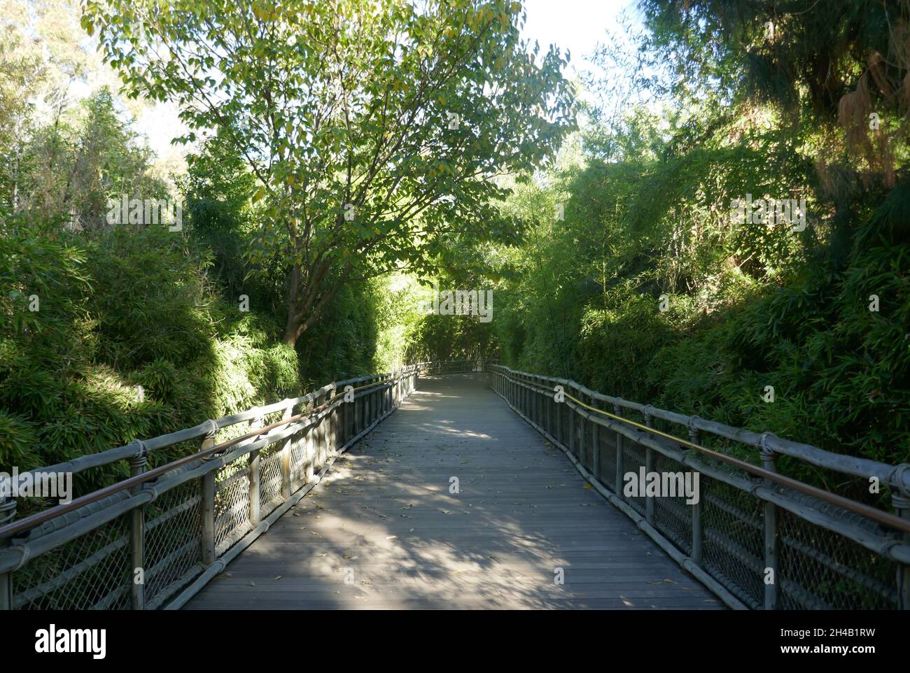 Los Angeles, California, USA 28 ottobre 2021 Una visione generale dell'atmosfera dello zoo di Los Angeles, Che ha chiuso il 13 marzo 2020 al 26 agosto 2020 a causa di pandemia e poi chiuso il 7 dicembre 2020 e riaperto il 16 febbraio 2021 a causa del coronavirus Covid-19 Pandemic, mostrato qui il 28 ottobre 2021 a Los Angeles, California, USA. Foto di Barry King/Alamy Stock Foto Foto Stock