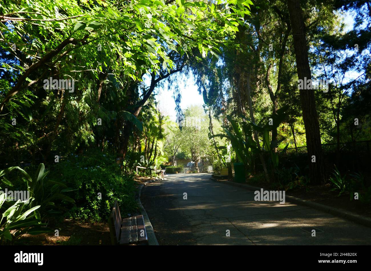 Los Angeles, California, USA 28 ottobre 2021 Una visione generale dell'atmosfera dello zoo di Los Angeles, Che ha chiuso il 13 marzo 2020 al 26 agosto 2020 a causa di pandemia e poi chiuso il 7 dicembre 2020 e riaperto il 16 febbraio 2021 a causa del coronavirus Covid-19 Pandemic, mostrato qui il 28 ottobre 2021 a Los Angeles, California, USA. Foto di Barry King/Alamy Stock Foto Foto Stock