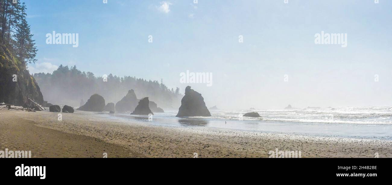 Famosa spiaggia di Ruby sulla costa del Pacifico, Olympic National Park, USA Foto Stock