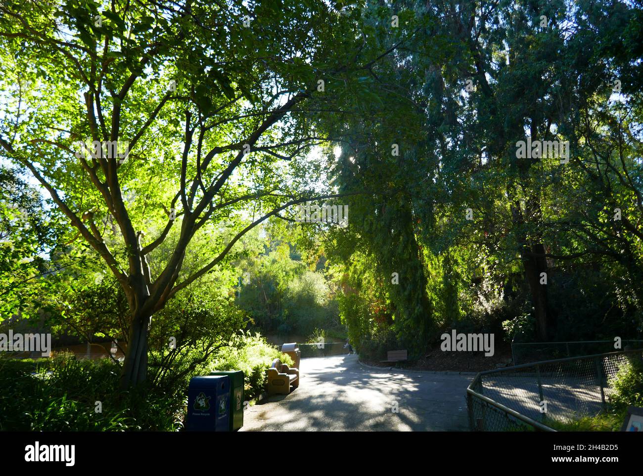 Los Angeles, California, USA 28 ottobre 2021 Una visione generale dell'atmosfera dello zoo di Los Angeles, Che ha chiuso il 13 marzo 2020 al 26 agosto 2020 a causa di pandemia e poi chiuso il 7 dicembre 2020 e riaperto il 16 febbraio 2021 a causa del coronavirus Covid-19 Pandemic, mostrato qui il 28 ottobre 2021 a Los Angeles, California, USA. Foto di Barry King/Alamy Stock Foto Foto Stock