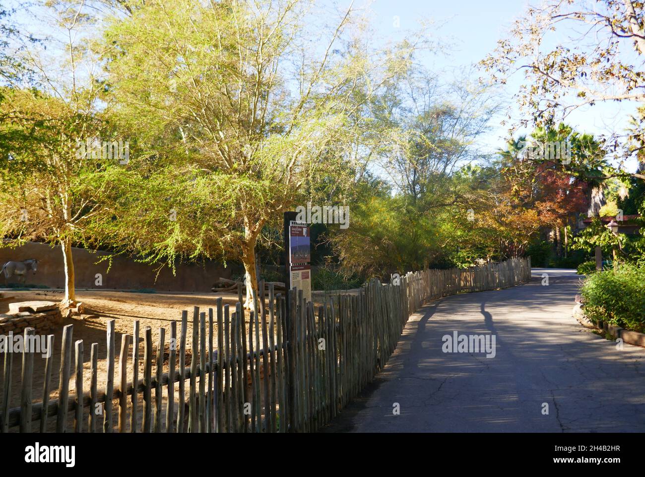Los Angeles, California, USA 28 ottobre 2021 Una visione generale dell'atmosfera dello zoo di Los Angeles, Che ha chiuso il 13 marzo 2020 al 26 agosto 2020 a causa di pandemia e poi chiuso il 7 dicembre 2020 e riaperto il 16 febbraio 2021 a causa del coronavirus Covid-19 Pandemic, mostrato qui il 28 ottobre 2021 a Los Angeles, California, USA. Foto di Barry King/Alamy Stock Foto Foto Stock