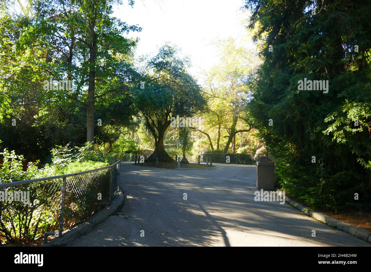 Los Angeles, California, USA 28 ottobre 2021 Una visione generale dell'atmosfera dello zoo di Los Angeles, Che ha chiuso il 13 marzo 2020 al 26 agosto 2020 a causa di pandemia e poi chiuso il 7 dicembre 2020 e riaperto il 16 febbraio 2021 a causa del coronavirus Covid-19 Pandemic, mostrato qui il 28 ottobre 2021 a Los Angeles, California, USA. Foto di Barry King/Alamy Stock Foto Foto Stock