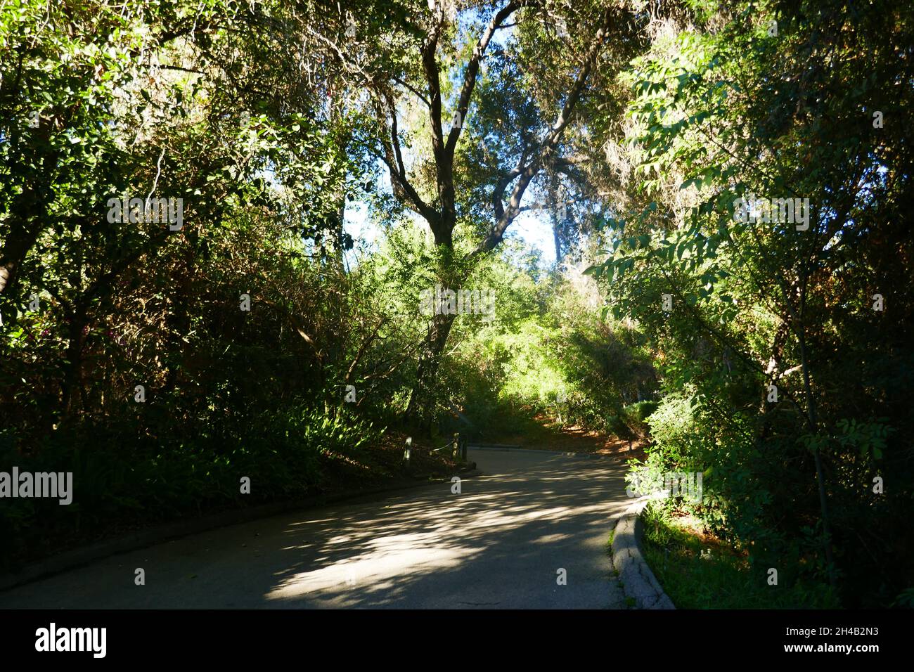 Los Angeles, California, USA 28 ottobre 2021 Una visione generale dell'atmosfera dello zoo di Los Angeles, Che ha chiuso il 13 marzo 2020 al 26 agosto 2020 a causa di pandemia e poi chiuso il 7 dicembre 2020 e riaperto il 16 febbraio 2021 a causa del coronavirus Covid-19 Pandemic, mostrato qui il 28 ottobre 2021 a Los Angeles, California, USA. Foto di Barry King/Alamy Stock Foto Foto Stock