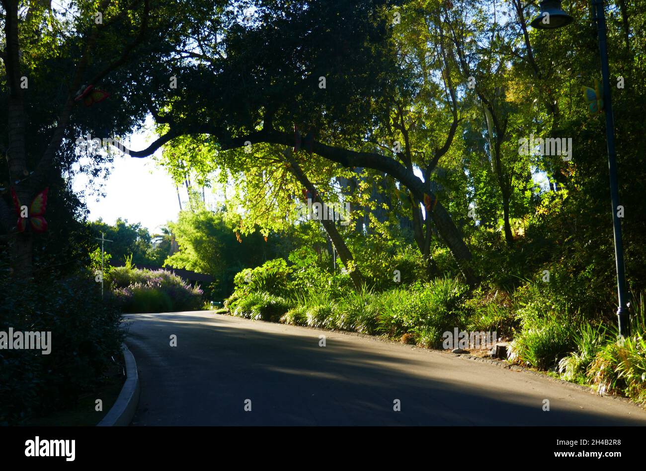 Los Angeles, California, USA 28 ottobre 2021 Una visione generale dell'atmosfera dello zoo di Los Angeles, Che ha chiuso il 13 marzo 2020 al 26 agosto 2020 a causa di pandemia e poi chiuso il 7 dicembre 2020 e riaperto il 16 febbraio 2021 a causa del coronavirus Covid-19 Pandemic, mostrato qui il 28 ottobre 2021 a Los Angeles, California, USA. Foto di Barry King/Alamy Stock Foto Foto Stock