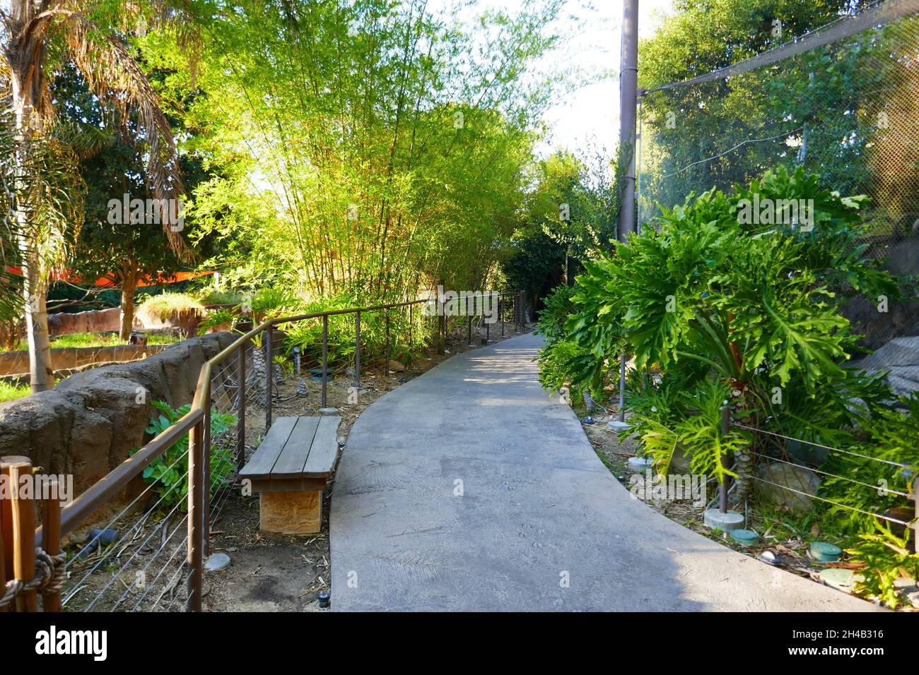 Los Angeles, California, USA 28 ottobre 2021 Una visione generale dell'atmosfera dello zoo di Los Angeles, Che ha chiuso il 13 marzo 2020 al 26 agosto 2020 a causa di pandemia e poi chiuso il 7 dicembre 2020 e riaperto il 16 febbraio 2021 a causa del coronavirus Covid-19 Pandemic, mostrato qui il 28 ottobre 2021 a Los Angeles, California, USA. Foto di Barry King/Alamy Stock Foto Foto Stock