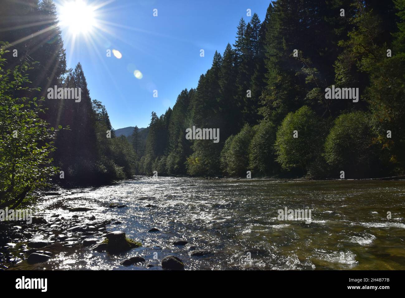 Il fiume Lower Lewis sotto le cascate, un popolare punto di escursionismo e campeggio, a fine estate. Gifford Pinchot National Forest, Washington state, USA. Foto Stock