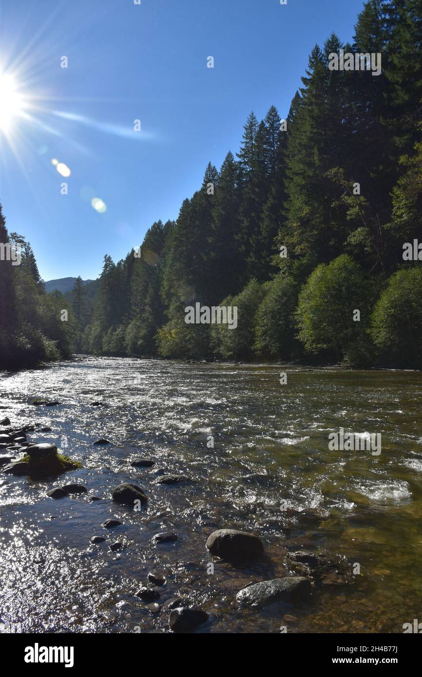 Il fiume Lower Lewis sotto le cascate, un popolare punto di escursionismo e campeggio, a fine estate. Gifford Pinchot National Forest, Washington state, USA. Foto Stock