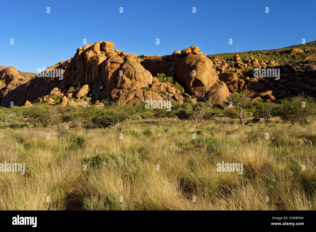 Agriturismo Omandumba (guest farm): rocce di granito in Erongo Montagne, Vicino Omaruru, Regione di Erongo, Namibia Foto Stock