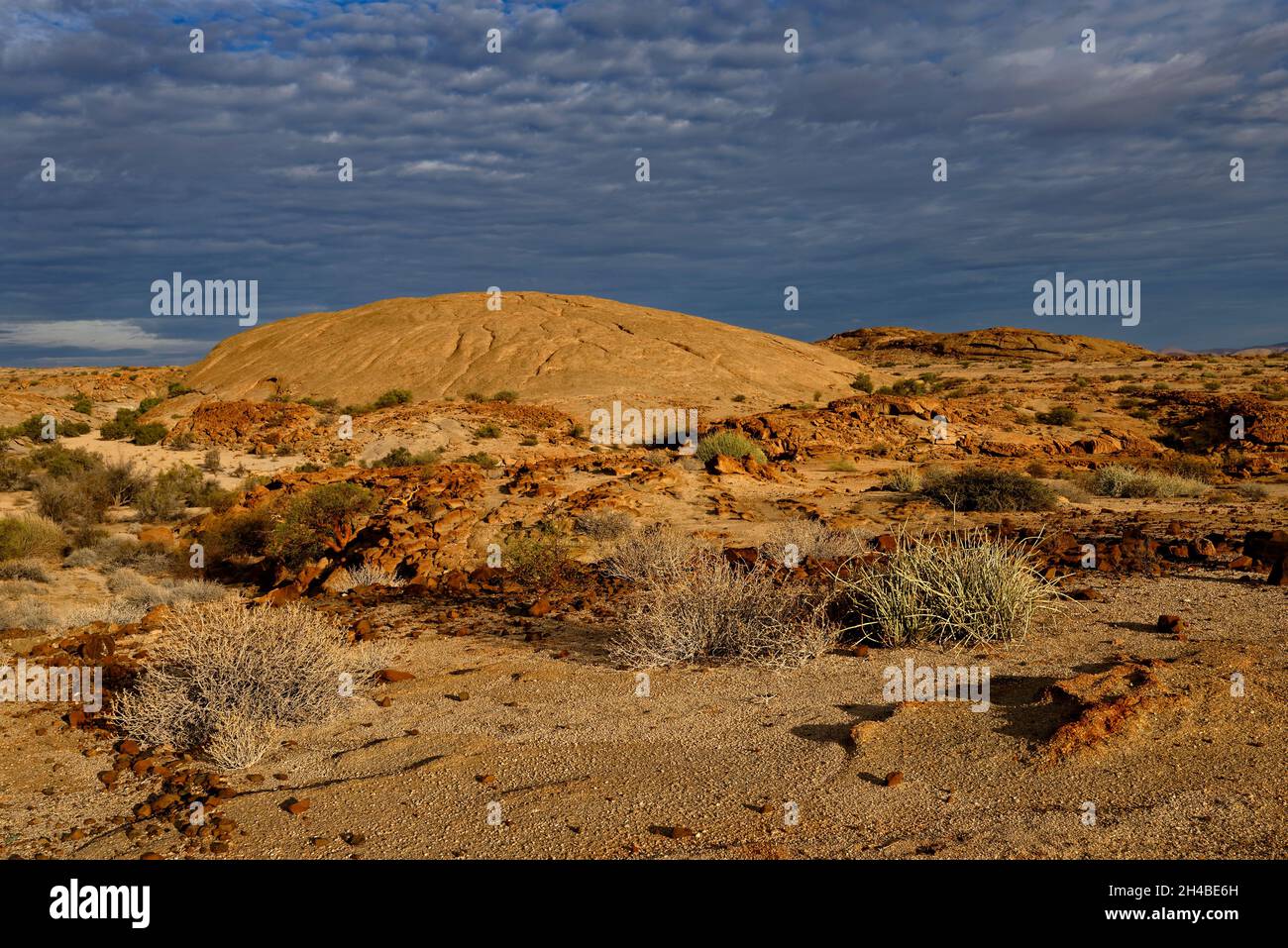 Agriturismo Wüstenquell (Wuestenquell valutazione azienda): Granito hilltop (roccia di granito) nel deserto del Namib, Distrikt Karibib, Namibia Foto Stock