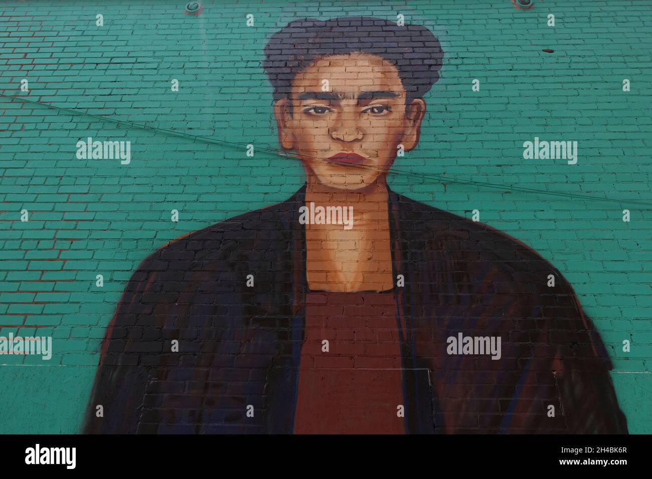 Le arti murali decorano gli alleati posteriori di Winslow in Arizona Foto Stock