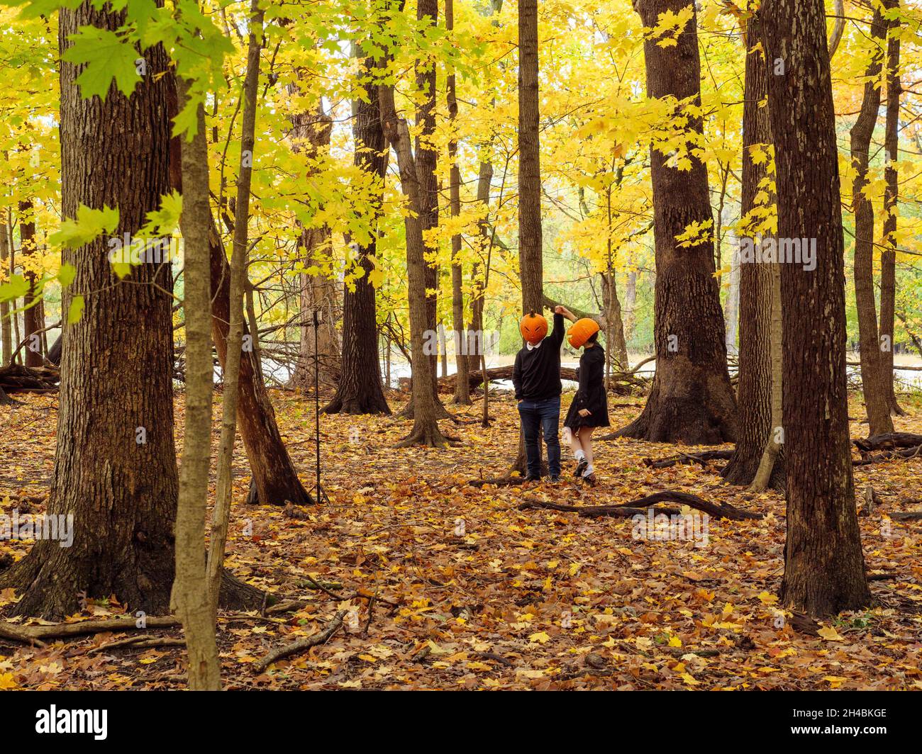 Due persone ballano con zucche sulla testa. Thatcher Woods Forest Preserve, Cook County, Illinois. Foto Stock