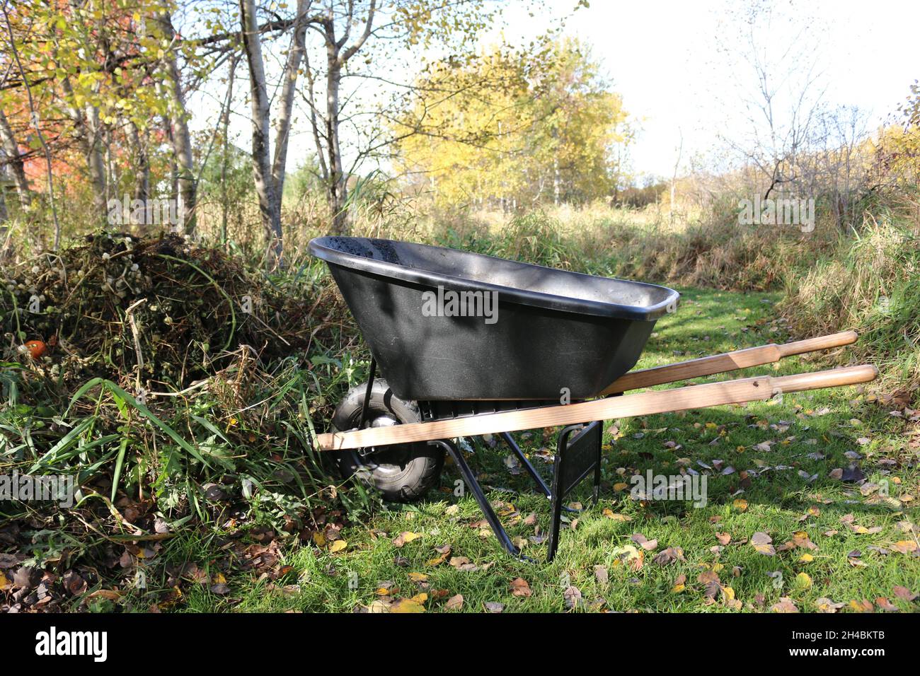 Minnesota Fall giardino pulizia Foto Stock