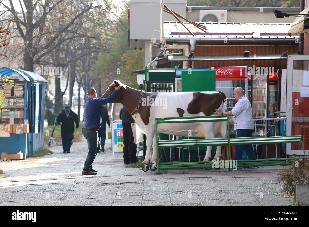 Persone che spingono una vacca artificiale di plastica lungo la strada a Sofia, Bulgaria, il 01 novembre 2021. Pubblicità casearia Foto Stock